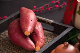 阳台种红薯的方法