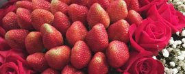 19个草莓花束的寓意(草莓花束花语什么意思)