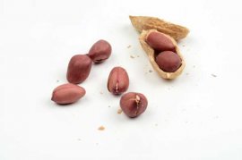 1粒花生扔盆里，长大竟比绿萝还美，1棵结了50个