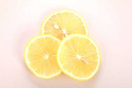 柠檬的虫害及其防治