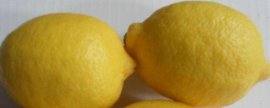 柠檬品种有哪些？四种常见柠檬品种图片