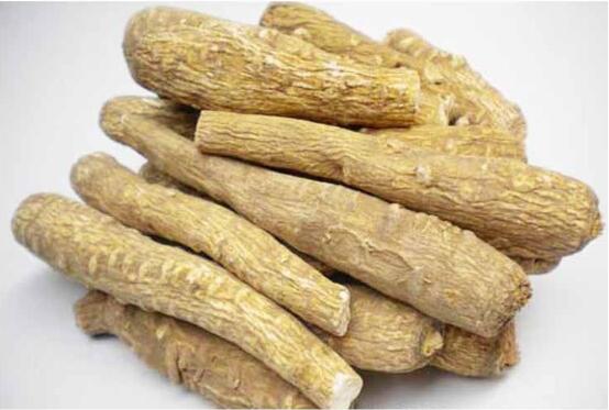 白芷的花语和传说,坚毅/执着和思念之情