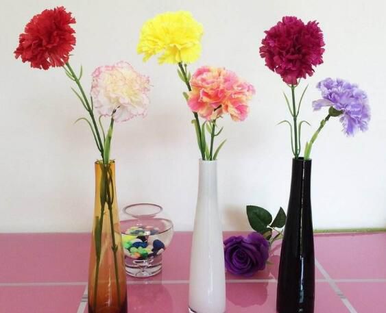 高的花瓶适合养什么花？最适合大气高贵有逼格
