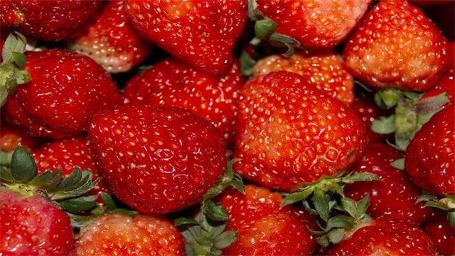 草莓如何种植？草莓的种植方法和步骤