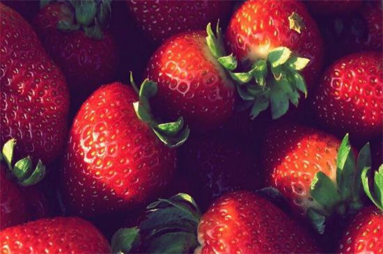 草莓种植季节：春季最适宜种植6月可成熟