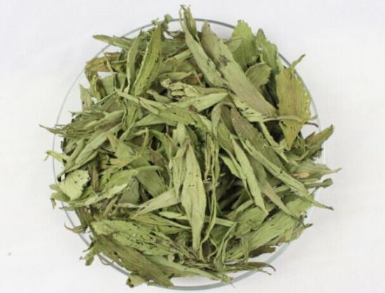 药用甜菊叶 药用甜菊叶