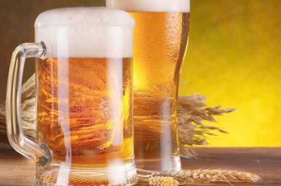 啤酒可以代替营养液吗？啤酒养花更简单