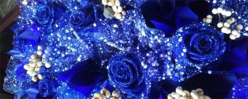 蓝色妖姬是玫瑰花吗？蓝色妖姬的制作方法