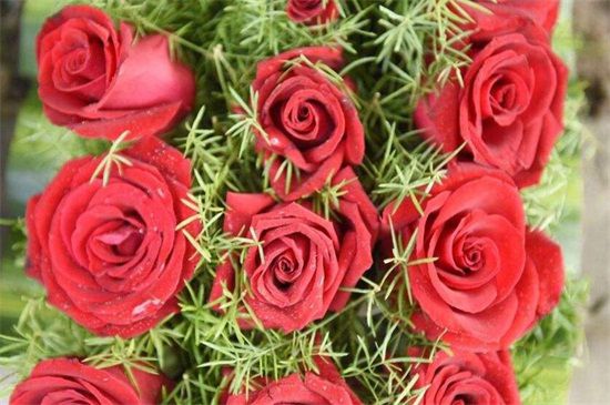 20朵玫瑰代表两情相遇/此生不渝的爱情