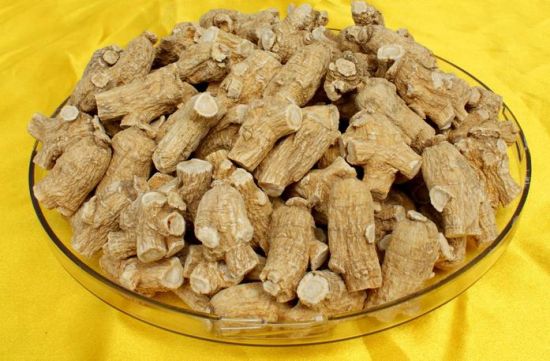 花旗参的功效与作用及食用方法：不能和萝卜同