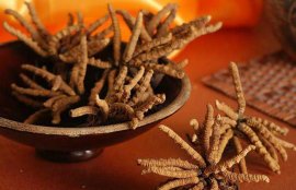 冬虫夏草一天吃几根？(化疗后虫草一次吃几根