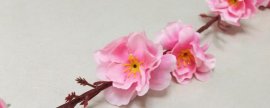 桃花枝泡水能开花吗(插桃花水中加什么)