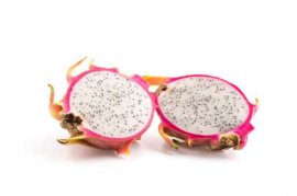 盆栽火龙果为什么长不高